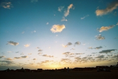 06